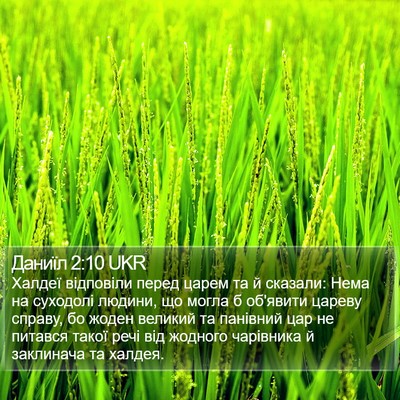 Даниїл 2:10 UKR Bible Verse Image