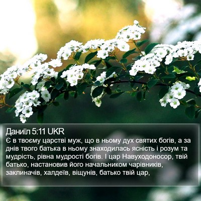 Даниїл 5:11 UKR Bible Verse Image
