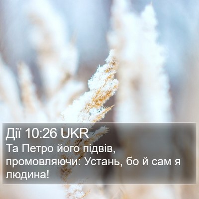 Дії 10:26 UKR Bible Verse Image