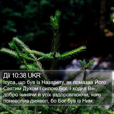 Дії 10:38 UKR Bible Verse Image
