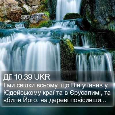 Дії 10:39 UKR Bible Verse Image