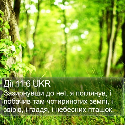 Дії 11:6 UKR Bible Verse Image