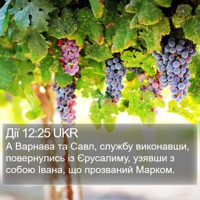 Дії 12:25 UKR Bible Verse Image