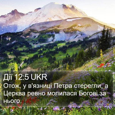 Дії 12:5 UKR Bible Verse Image