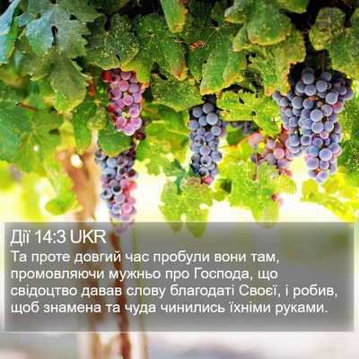 Дії 14:3 UKR Bible Verse Image