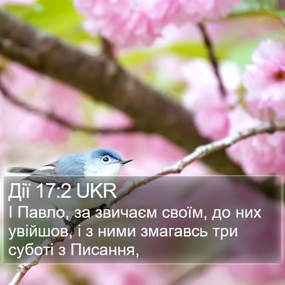 Дії 17:2 UKR Bible Verse Image