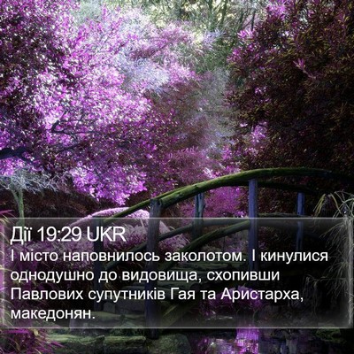 Дії 19:29 UKR Bible Verse Image