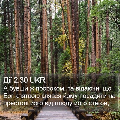 Дії 2:30 UKR Bible Verse Image