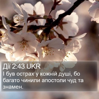 Дії 2:43 UKR Bible Verse Image