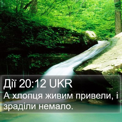 Дії 20:12 UKR Bible Verse Image