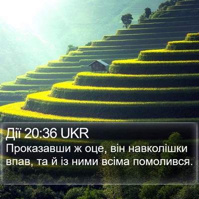 Дії 20:36 UKR Bible Verse Image