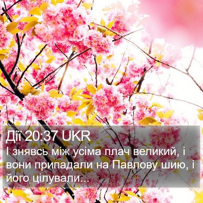 Дії 20:37 UKR Bible Verse Image