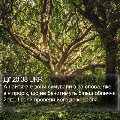 Дії 20:38 UKR Bible Verse Image