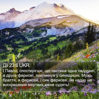 Дії 23:6 UKR Bible Verse Image