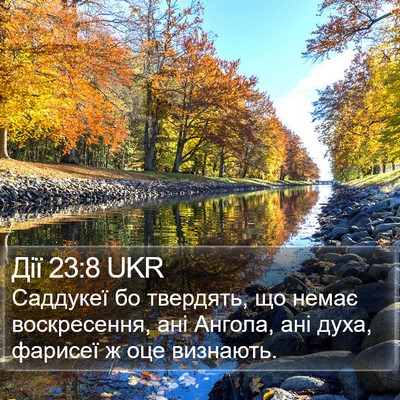 Дії 23:8 UKR Bible Verse Image