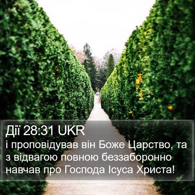 Дії 28:31 UKR Bible Verse Image