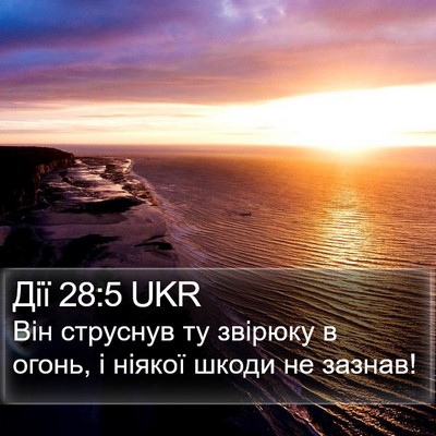 Дії 28:5 UKR Bible Verse Image