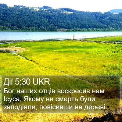 Дії 5:30 UKR Bible Verse Image