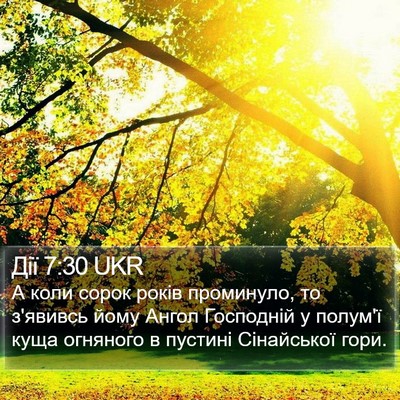 Дії 7:30 UKR Bible Verse Image