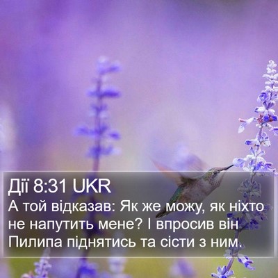 Дії 8:31 UKR Bible Verse Image
