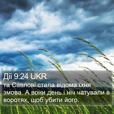 Дії 9:24 UKR Bible Verse Image
