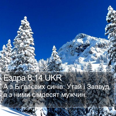 Ездра 8:14 UKR Bible Verse Image