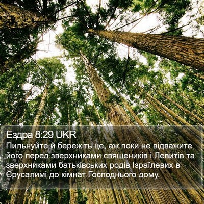 Ездра 8:29 UKR Bible Verse Image