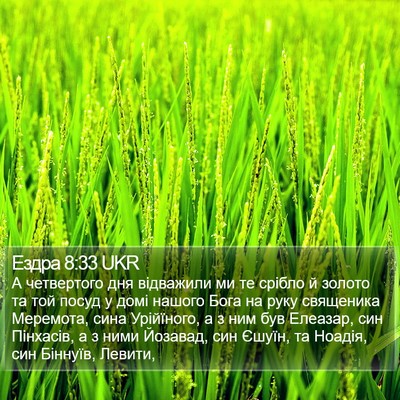 Ездра 8:33 UKR Bible Verse Image