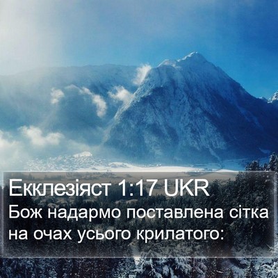 Екклезіяст 1:17 UKR Bible Verse Image