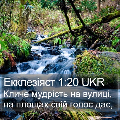 Екклезіяст 1:20 UKR Bible Verse Image