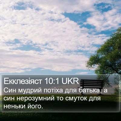 Екклезіяст 10:1 UKR Bible Verse Image