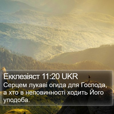 Екклезіяст 11:20 UKR Bible Verse Image
