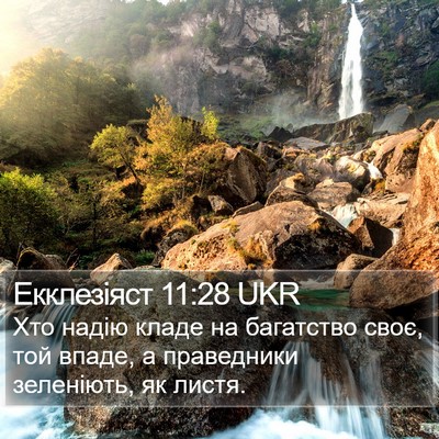 Екклезіяст 11:28 UKR Bible Verse Image
