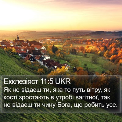Екклезіяст 11:5 UKR Bible Verse Image