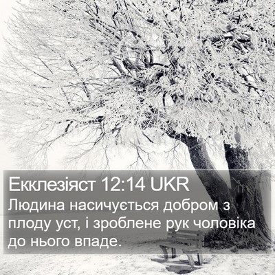 Екклезіяст 12:14 UKR Bible Verse Image