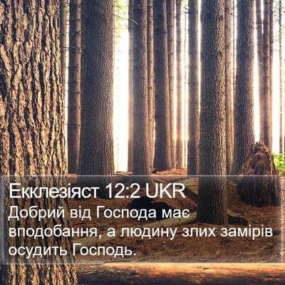 Екклезіяст 12:2 UKR Bible Verse Image