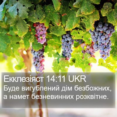 Екклезіяст 14:11 UKR Bible Verse Image