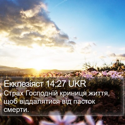 Екклезіяст 14:27 UKR Bible Verse Image