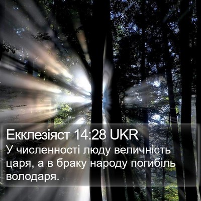 Екклезіяст 14:28 UKR Bible Verse Image
