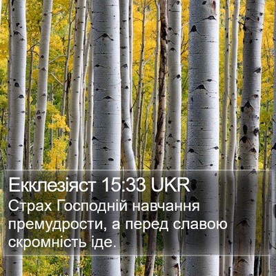 Екклезіяст 15:33 UKR Bible Verse Image
