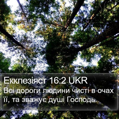 Екклезіяст 16:2 UKR Bible Verse Image