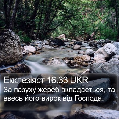 Екклезіяст 16:33 UKR Bible Verse Image