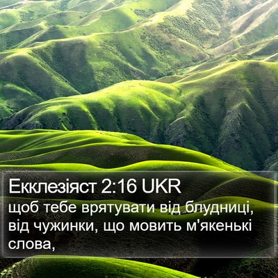 Екклезіяст 2:16 UKR Bible Verse Image