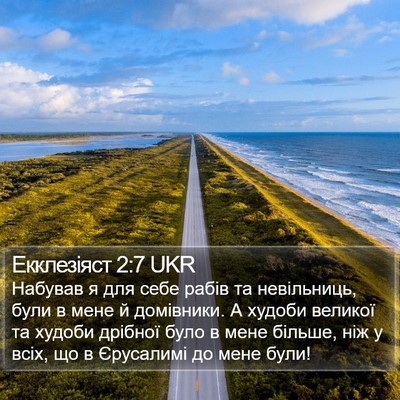 Екклезіяст 2:7 UKR Bible Verse Image