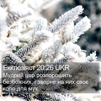 Екклезіяст 20:26 UKR Bible Verse Image