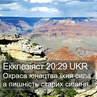 Екклезіяст 20:29 UKR Bible Verse Image