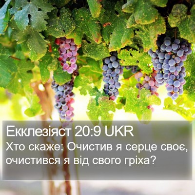 Екклезіяст 20:9 UKR Bible Verse Image