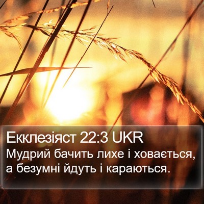 Екклезіяст 22:3 UKR Bible Verse Image