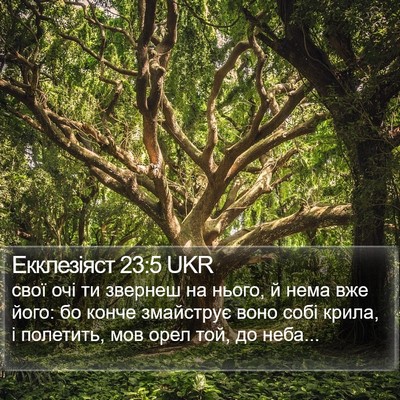 Екклезіяст 23:5 UKR Bible Verse Image