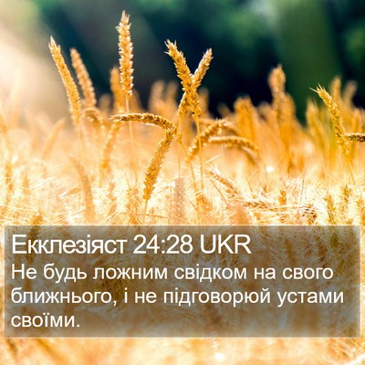 Екклезіяст 24:28 UKR Bible Verse Image